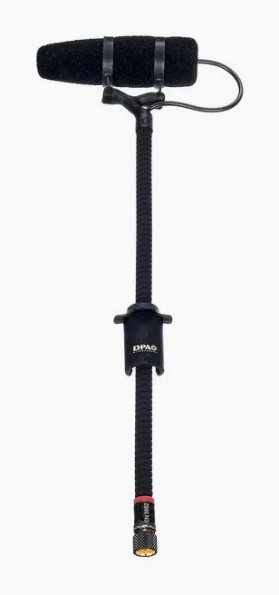 DPA 4099-DP-1, vista 2
