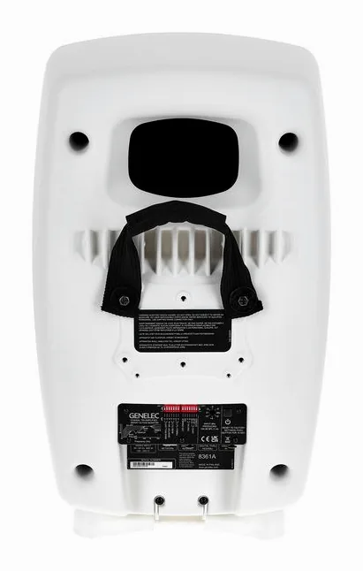Genelec 8361 AW, vista 4