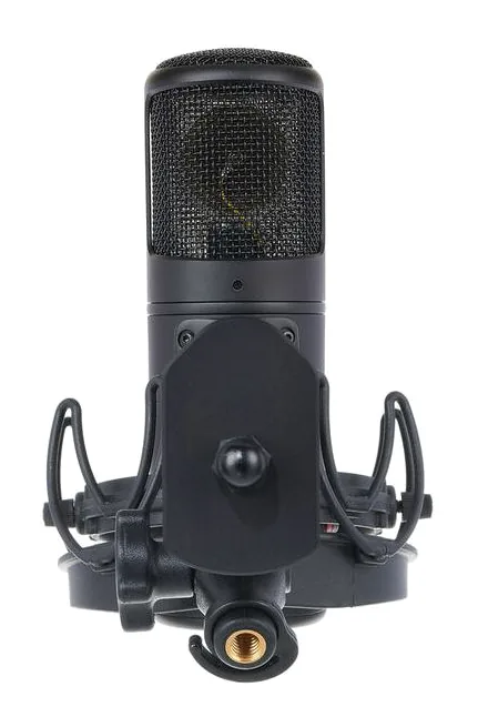 Golden Age Audio Premier GA-8000, vista 2