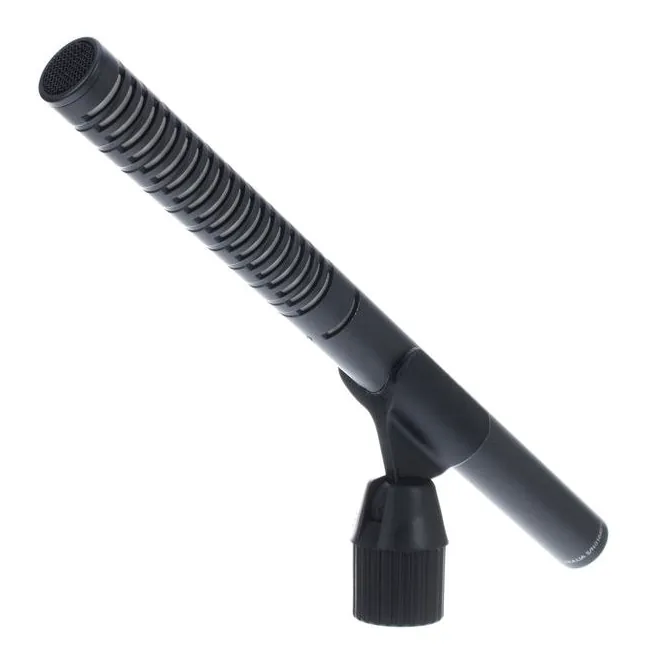 Rode NTG2, vista 2