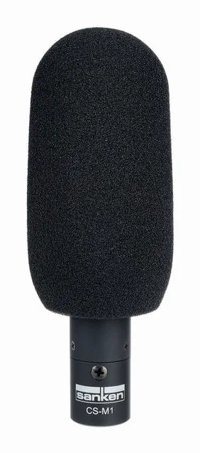Sanken CS-M1, vista 4