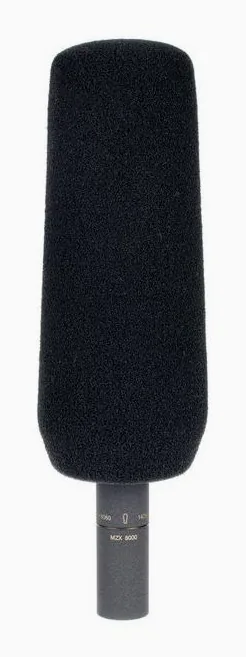 Sennheiser MKH 8060, vista 4