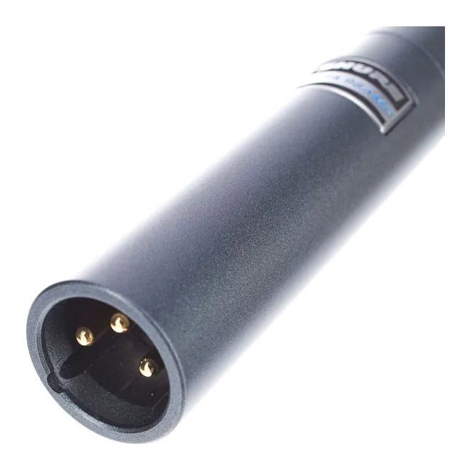 Shure Beta 98 Amp/C, vista 2